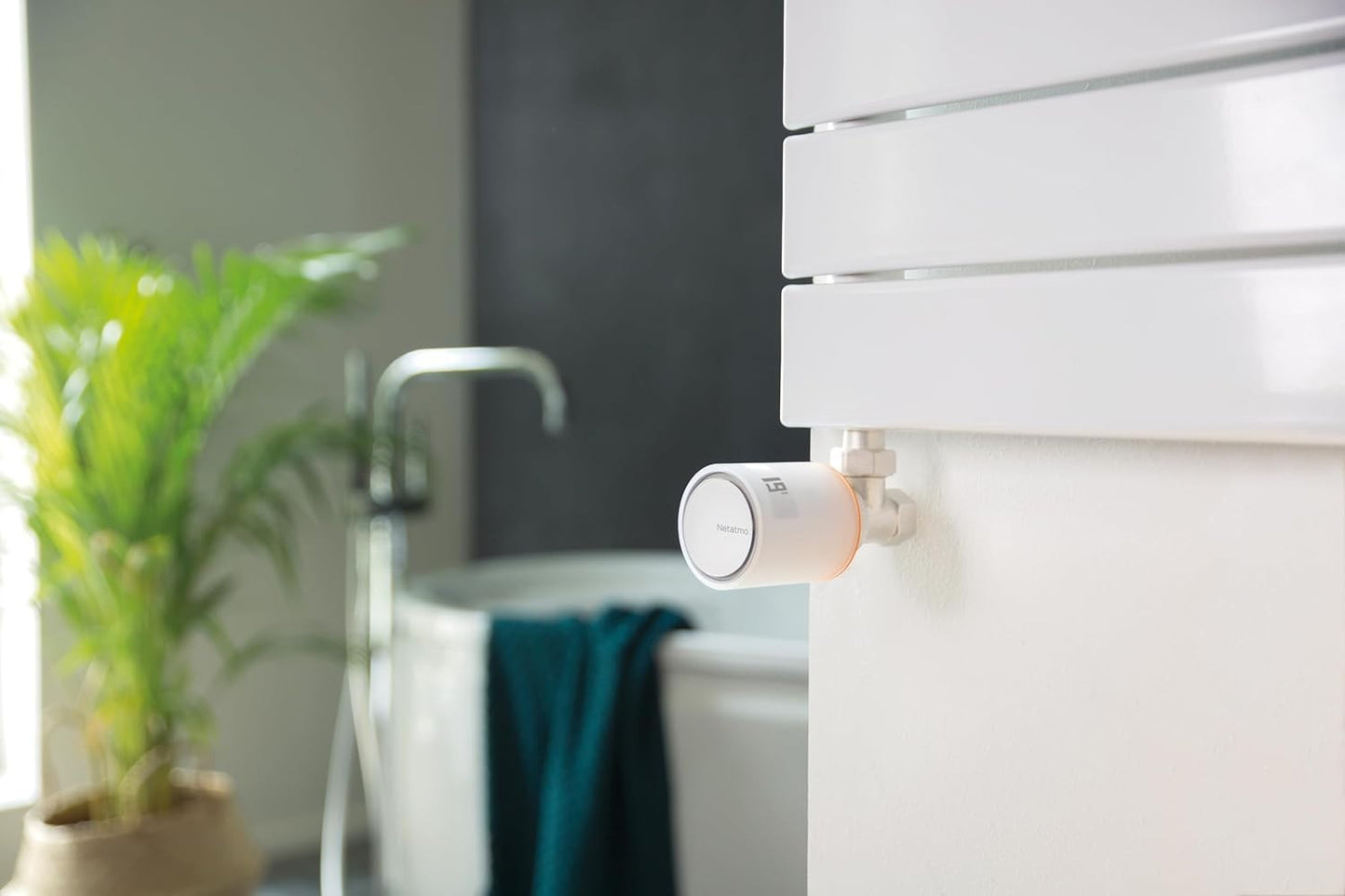 Netatmo Pack 4 Valvole Termostatiche WiFi, Controllo Remoto Risparmio Energetico