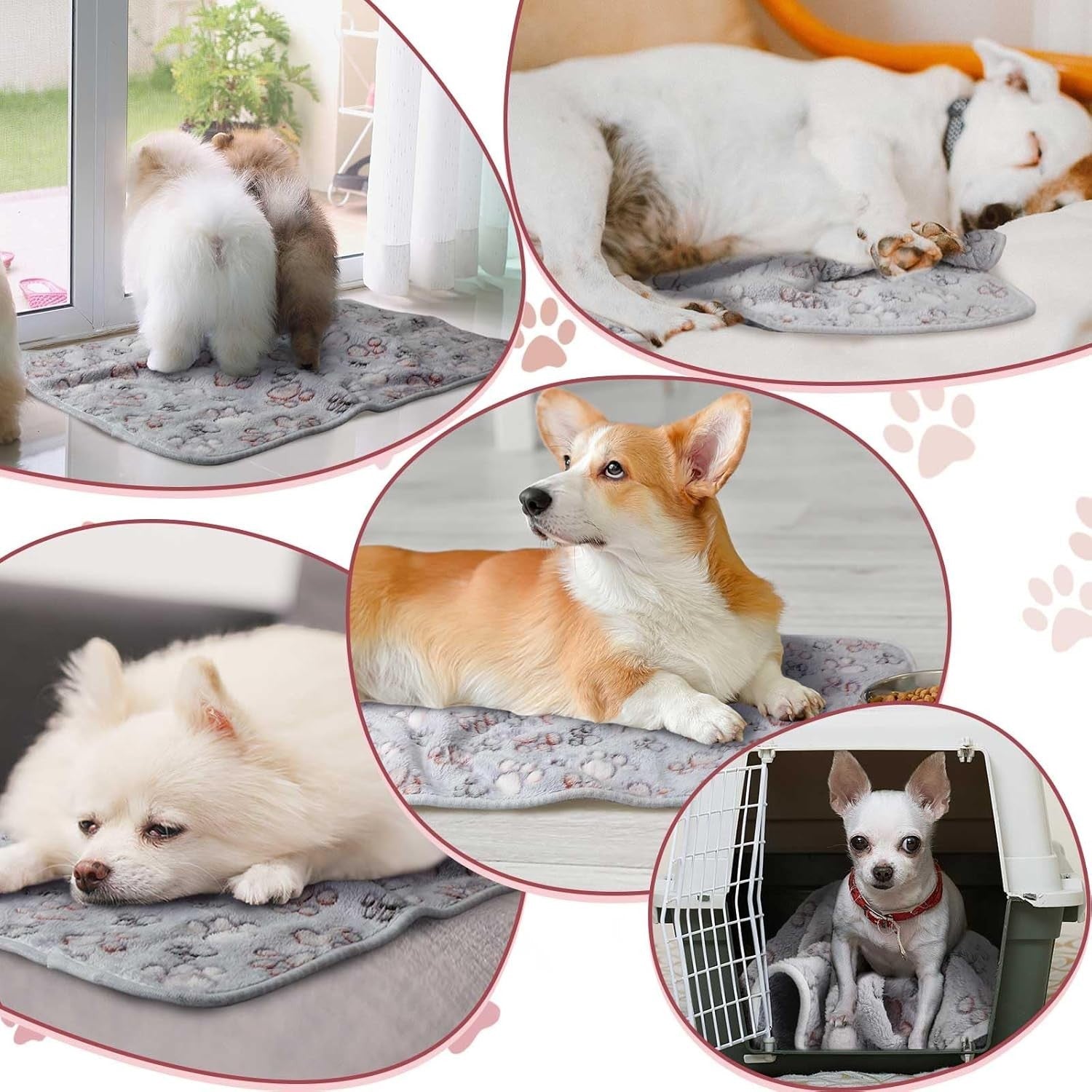 4 Coperte Impermeabili, Copertina da Letto per Piccoli animali in pile lavabile